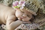 15808 Rosie Dreams  